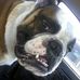 Shawn Epperson - Facebook