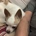 Shawn Evenson - Facebook