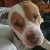Shawn Everett - @shawn.everett30 - TikTok