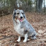 Shawn Everett Rahn - @shawnrahn - Instagram
