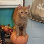 Shawn Everette - @shawneveretteglass - Instagram
