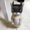 Shane Eversole - @shane.eversole - TikTok