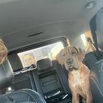 Shawn Eversole - @shawneversole1 - Instagram