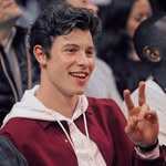Mendes Army - @shawn.fallinallinyou - Instagram