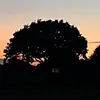 Shawn.fall - @shawn.fall - TikTok