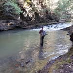 Shawn Farquharson - @salmonidslayer - Instagram