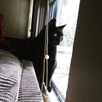 Shawn Farris - @shawn_farris26 - Instagram
