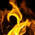 Shawn Farrow - @farrowshawn - Instagram