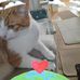 Shaun Feeley - Facebook