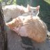 Shawn Flatt - Facebook