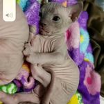 Shawn Flatt - @flattshawn - Instagram