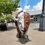 Shawn Foglesong - @shawnfoglesong4 - Instagram