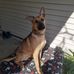 Shawna Fortney - Facebook