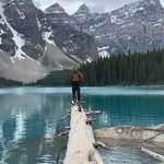 Shawn Geddes - @shawnged - Instagram