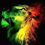 Shawn Geddes - @swag_boy_shawn - Instagram