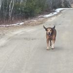 Shawn Getchell - @shawngetchell - Instagram
