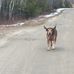 Shawn Getchell - Facebook