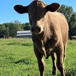 Shawn Goad - @shawn.goad.313 - Instagram