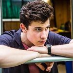MENDES OWN MY HEART - @grateful.for.shawn - Instagram