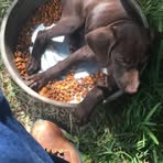 Shawn Grigsby - Facebook