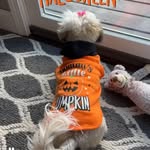 Shawn Horman Grose - @momminischic - Instagram