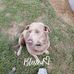 Shawn Guy - Facebook