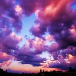 haileyfox - @hailey_n_shawn_forever_ - Instagram