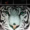 A_dizo_lane - @shawnahamricklane - TikTok