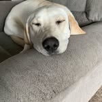 Sean Harter - @shawnharter2024 - Instagram