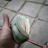 Shaun Harwell - @shaun.harwell - TikTok