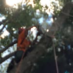 Shawn Hauser - @hauser_shawn - Instagram