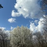 @shawnhauser76 - Instagram