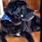 Shawn Hebert - @shebert1975 - Instagram