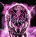 Shawn Hebert - Facebook