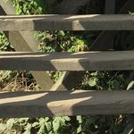 Shawn Herman - @st.herman7 - Instagram