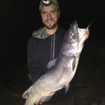 Shawn Herman - @shawnherman33 - Instagram