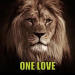 Shawn Hillman - @onelovetribute_band - Instagram