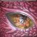 Shawn Holst - Facebook