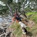 Shaun Epiha-Holtz - Facebook