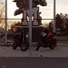 shawnholubjr - @shawnholubjr - TikTok