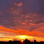 Shawn Hopper - @shawn_d_hopper - Instagram