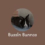 Shawn Spencer, Judy Hopps, Matthew, & Hopper - @bussinbunnos2024 - Instagram