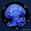 Shauna Ingalls - @shaunie722 - TikTok