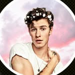 ▪️Mendes Army fanfictions▪️ - @shawn_ito_ - Instagram