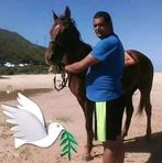 Shaun Jansen - Facebook