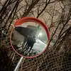 Jay - @shawn.jay9 - TikTok