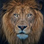 Shawn Joubert - @8283shawn - Instagram