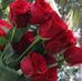Shain Kahan - Facebook