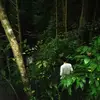 Shawn Keene - @godscoldhands - TikTok