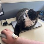 Shawn Kehoe - @shawn_kehoe - Instagram